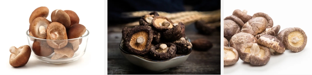 Shiitake Extract..jpg